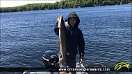 33" Northern Pike caught on Chandos Lake