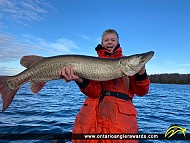 52" Muskie caught on Lake Ontario