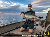 36" Chinook Salmon caught on Lake Ontario