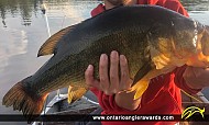 21" Largemouth Bass caught on Lake Baptist