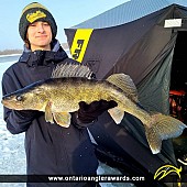 28" Walleye caught on Ottawa River