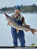 37" Northern Pike caught on Lake St. Nora