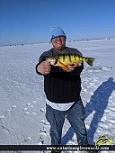 14.5" Yellow Perch caught on Lake Simcoe