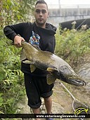 41" Chinook Salmon caught on Ganaraska River