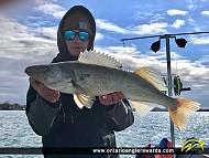 29.25" Walleye caught on Lake Erie