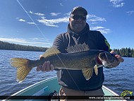 27" Walleye caught on Perrault Lake
