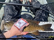 19" Smallmouth Bass caught on Ramsey Lake