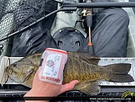 18.75" Smallmouth Bass caught on Ramsey Lake