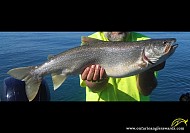 29" Lake Trout caught on Lake Ontario