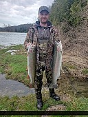 28" Rainbow Trout caught on Maitland River