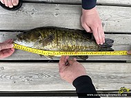 20" Smallmouth Bass caught on Lake of the Woods