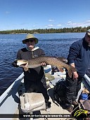 45" Northern Pike caught on Crooked Lake