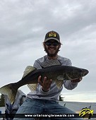 27.5" Walleye caught on Lady Evelyn Lake 