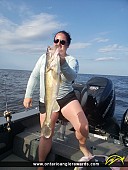 29.5" Walleye caught on Lake of the Woods