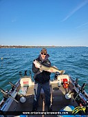 32" Walleye caught on Lake Erie