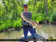 31" Northern Pike caught on Lake Erie