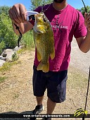 11.5" Rock Bass caught on Lake of Dreams