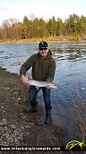 25.5" Rainbow Trout caught on Beaver River