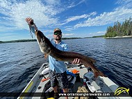 41" Northern Pike caught on Press Lake