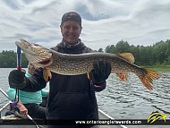 32" Northern Pike caught on Hackford Lake