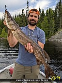 31.5" Northern Pike caught on Windermere Lake