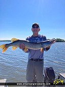 37.5" Northern Pike caught on Lake of the Woods