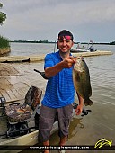 18.5" Largemouth Bass caught on Guelph Lake