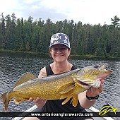 27.5" Walleye caught on Clearwater Lake