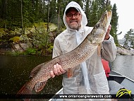36" Northern Pike caught on Bloodvein River