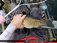 18.25" Smallmouth Bass caught on Silver Lake