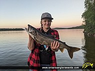 26.6" Lake Trout caught on Dryberry Lake