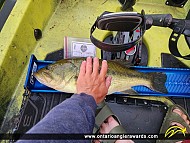 20.5" Largemouth Bass caught on Pine Lake