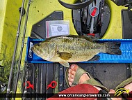 18" Largemouth Bass caught on Sturgeon Lake