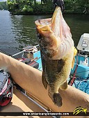 21" Largemouth Bass caught on Lake Muskoka