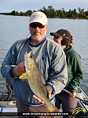 25.5" Walleye caught on Lake Nipissing