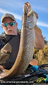 32" Northern Pike caught on Grand River 