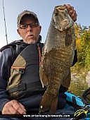 19.25" Smallmouth Bass caught on Grand River 