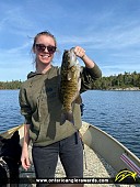 18.5" Smallmouth Bass caught on Lake of the Woods