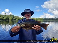 18" Smallmouth Bass caught on Namakan Lake