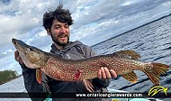 37" Northern Pike caught on Lake Muskoka