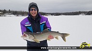 30" Lake Trout caught on Regina Bay LOTW