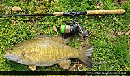 19" Smallmouth Bass caught on Niagara River