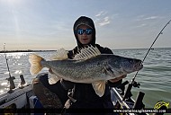 27" Walleye caught on Lake Erie
