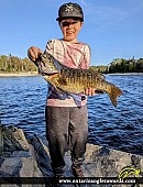20.5" Smallmouth Bass caught on Vermilion River