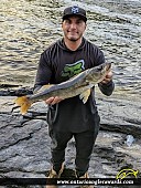 25.5" Walleye caught on Vermilion River 