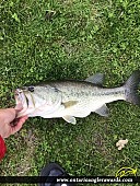 24" Largemouth Bass caught on Lake Laguna