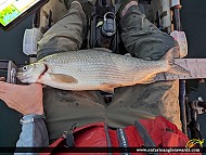 24" Whitefish caught on Clear Lake