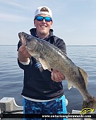 28.25" Walleye caught on Lake of the Woods