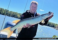 41" Muskie caught on Lake of the Woods