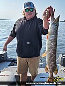 38" Northern Pike caught on Lake of the Woods